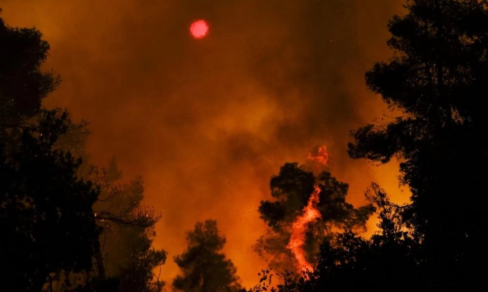 Φωτιές: «Καμπανάκι» Λαγούβαρδου – Σύμμαχος για τις φωτιές οι άνεμοι στη βόρεια Εύβοια